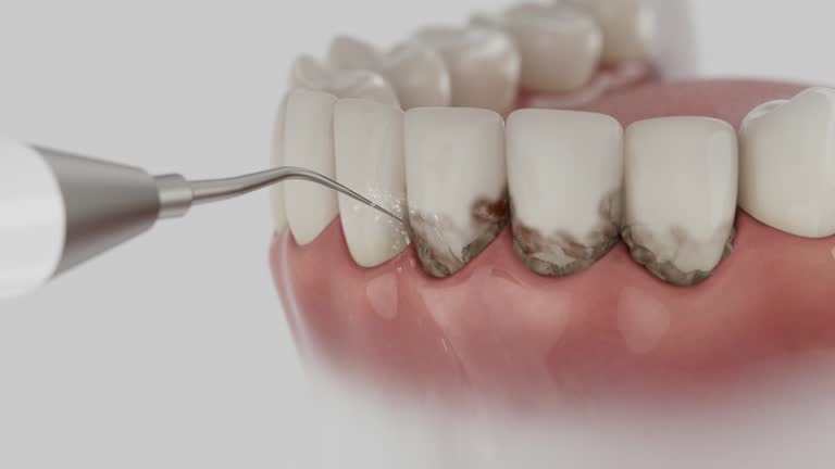Reliable Dental contractor in Brookmont, MD by Dentist Open Now